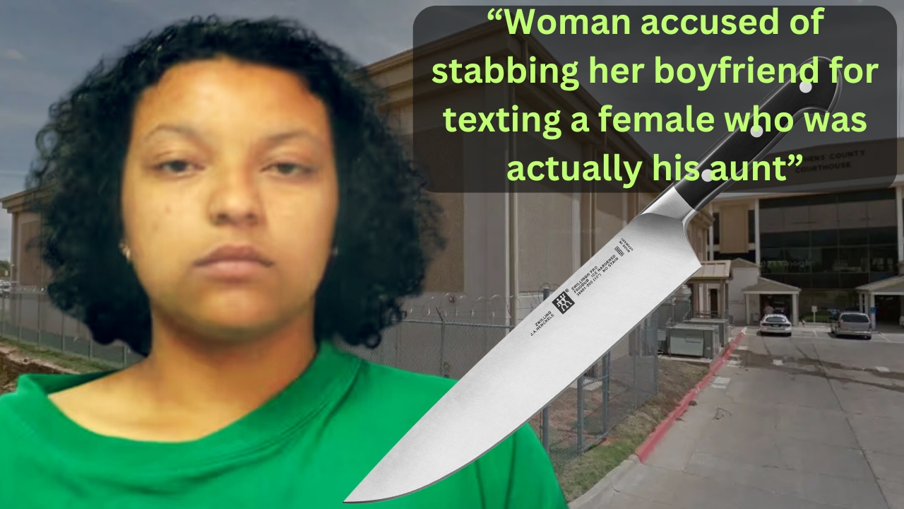 Woman Admits She Went A 'Little Crazy' After Stabbing Boyfriend TN-14